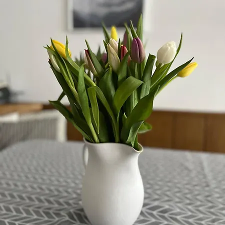 Malejo Am Hochkoenig Apartment Bachwinkl