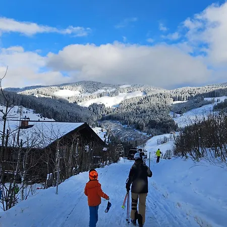 Malejo - Hochkoenigcard - Pool - Ski-in & Ski-out Apartmán *