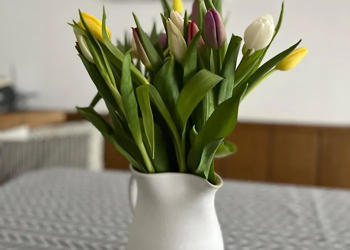 Malejo Am Hochkoenig Appartamento Bachwinkl